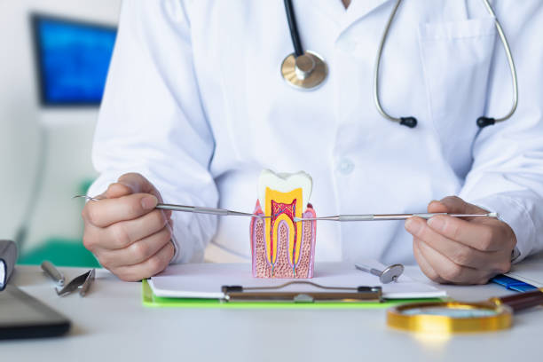 Best Emergency Root Canal Treatment in Triangle, VA